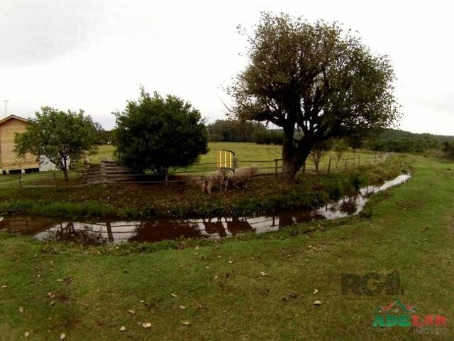 Sítio 4 dormitórios no bairro Itapuã