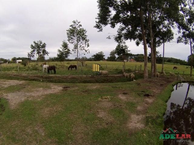 Sítio 4 dormitórios no bairro Itapuã