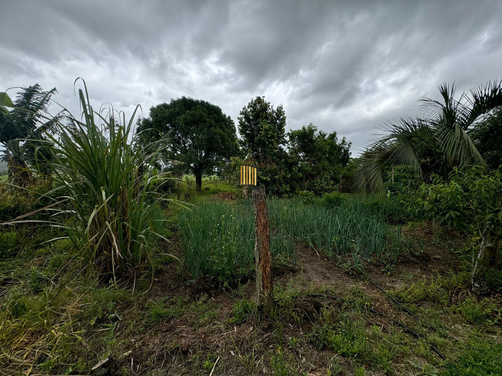 Sítio 1 dormitório no bairro Parque Florestal Itapuã