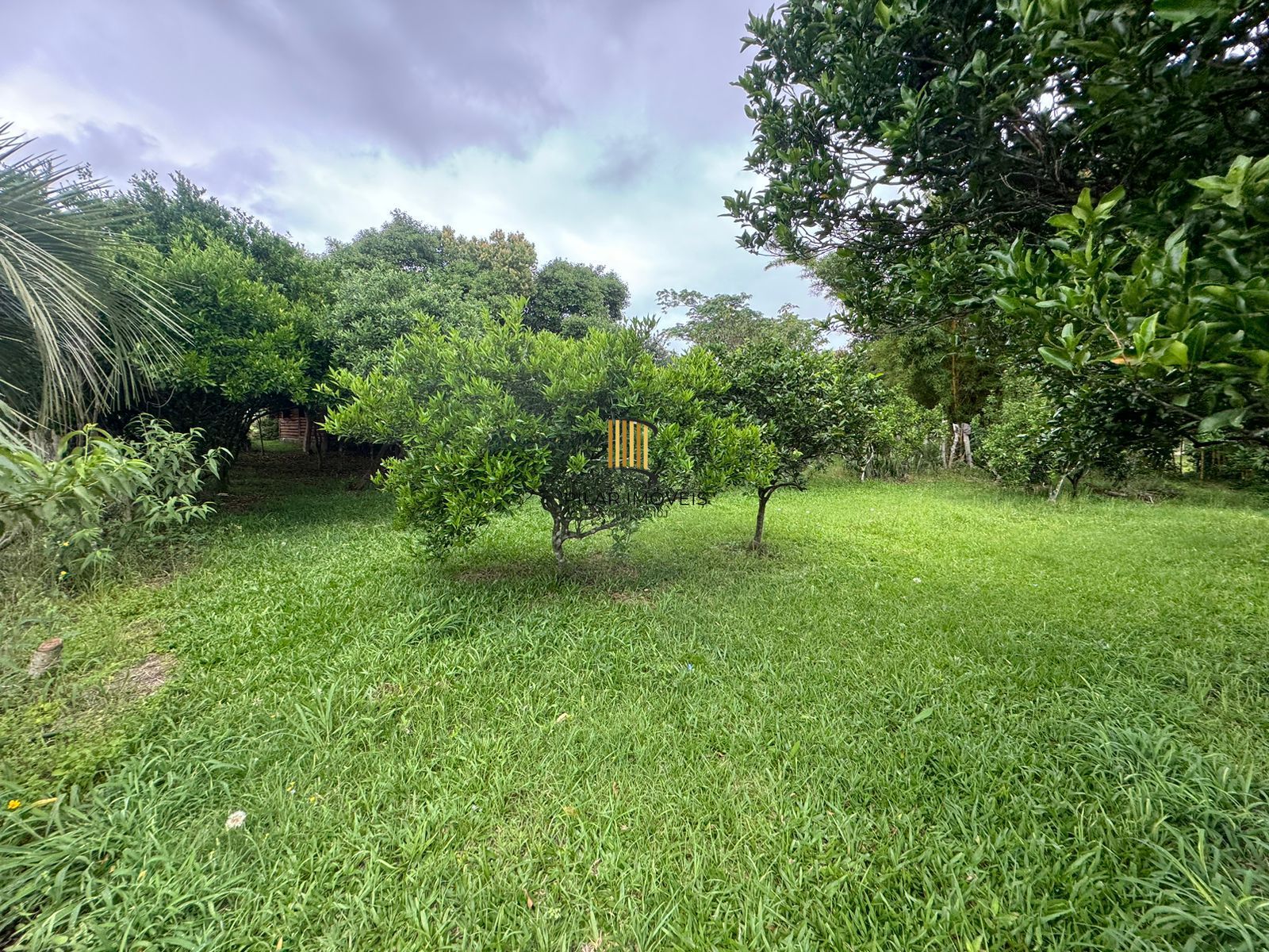 Sítio 1 dormitório no bairro Parque Florestal Itapuã