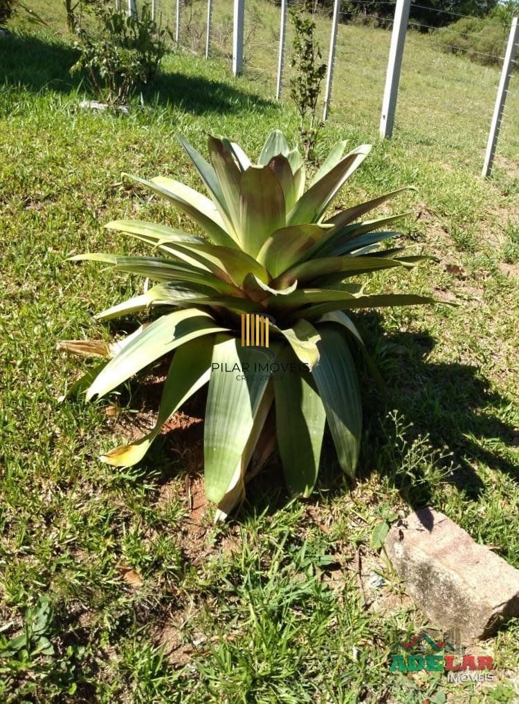 Sítio 4 dormitórios no bairro Itapuã