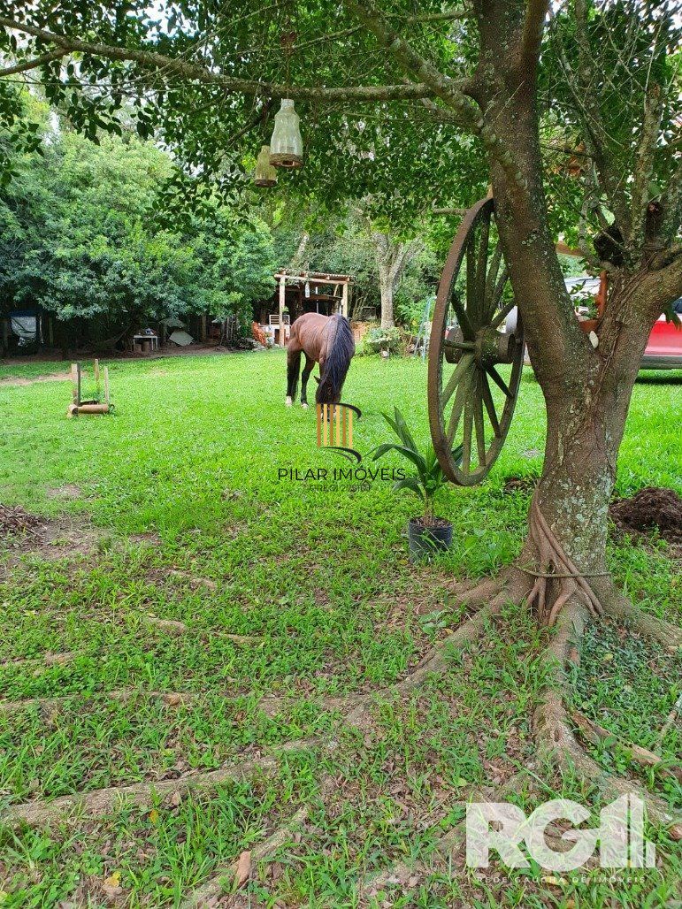 Sítio no bairro Lami
