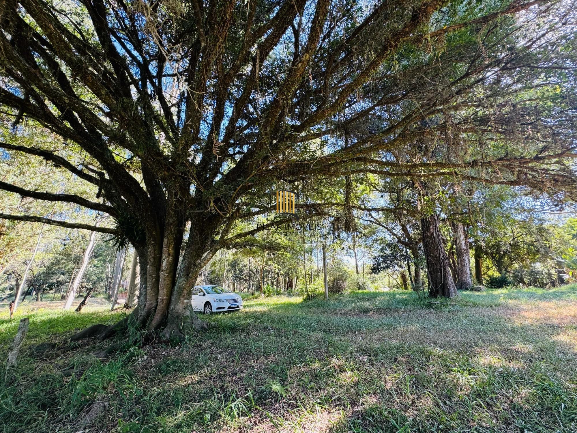 Área rural com 225,000m²