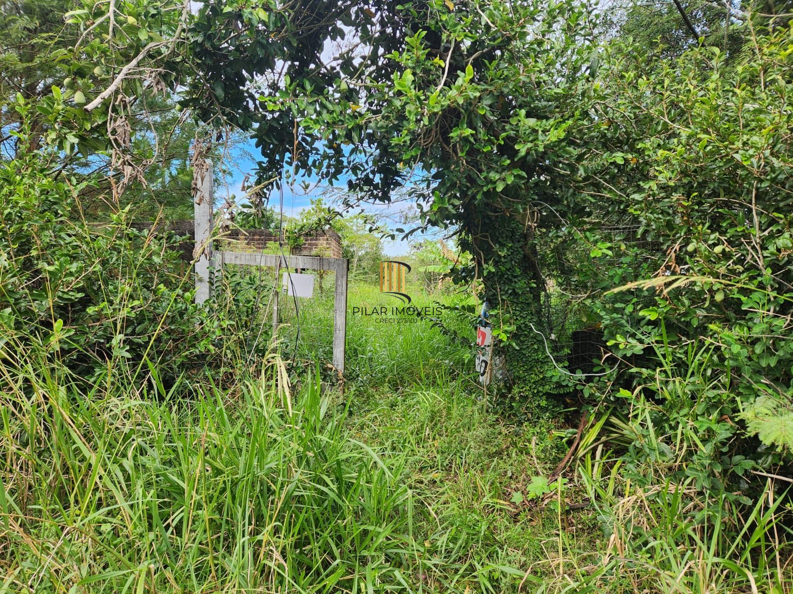 Terreno no bairro Lageado - Pilar Imóveis