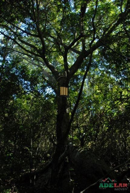 Sítio 1 dormitório no bairro Itapuã