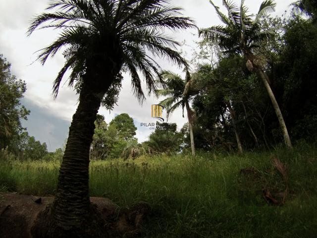 Sítio no bairro São Tomé