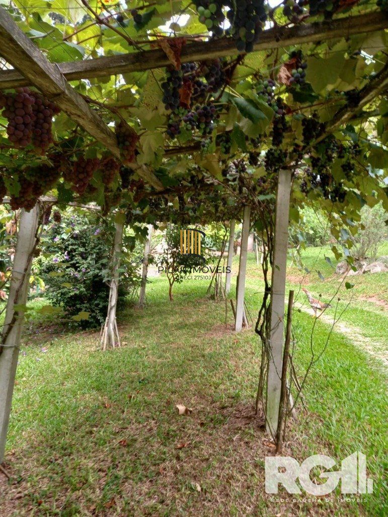 Sítio à venda na Estrada das Quirinas