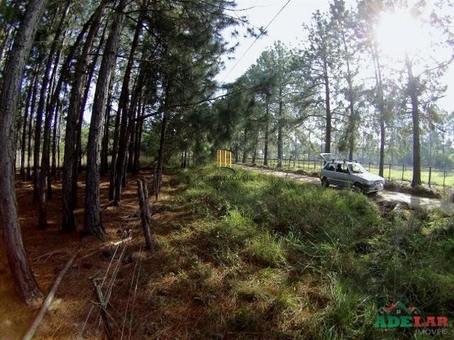 Terreno no bairro Lami