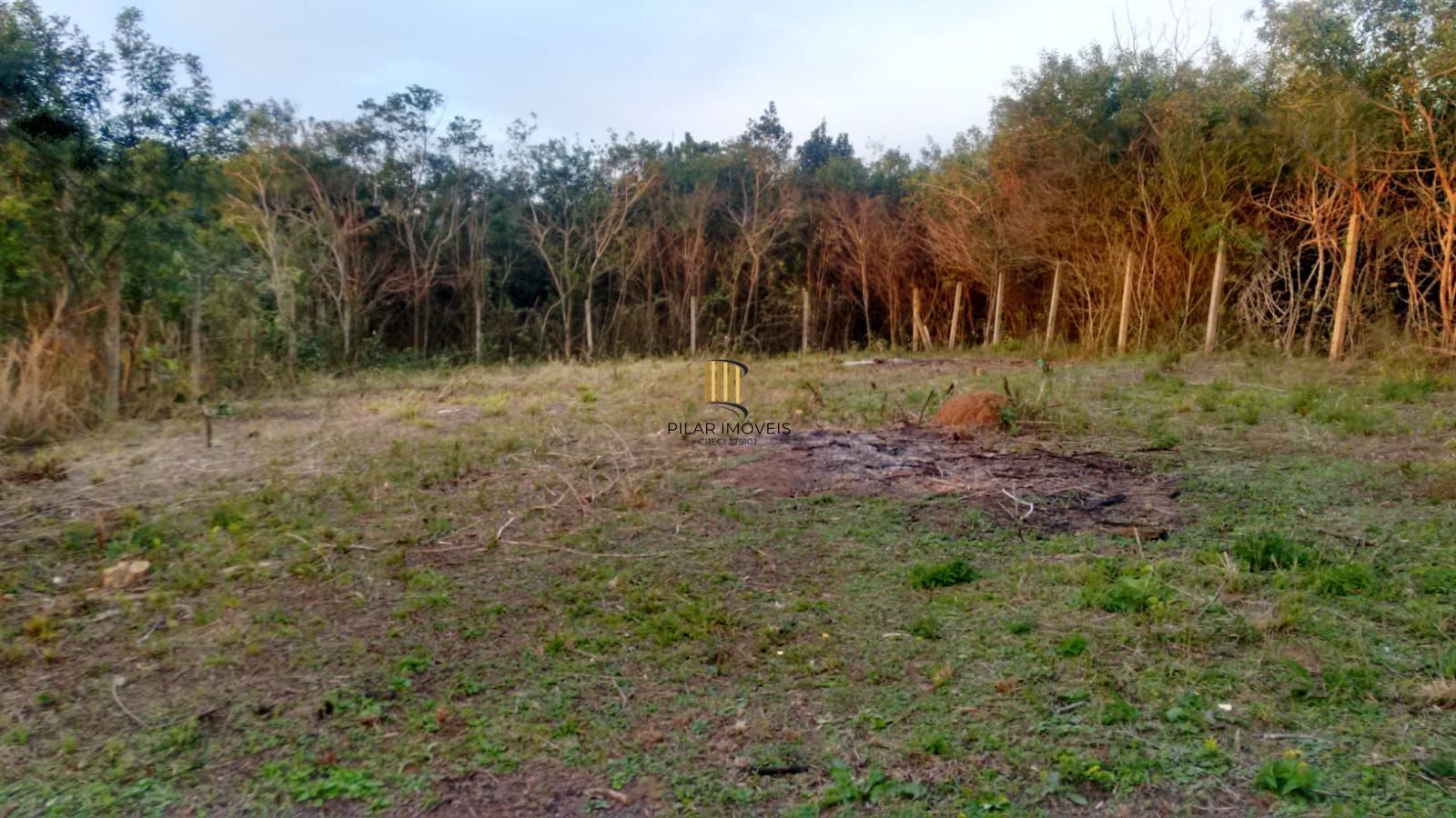 Terreno no bairro Lageado