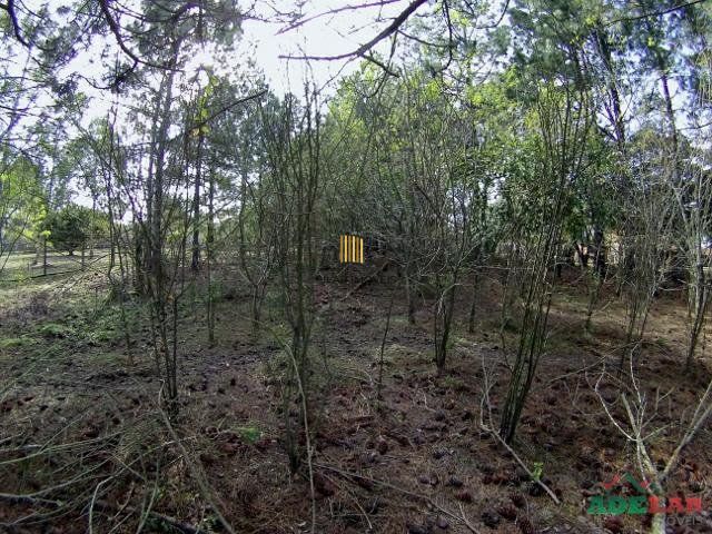 Terreno no bairro Lami