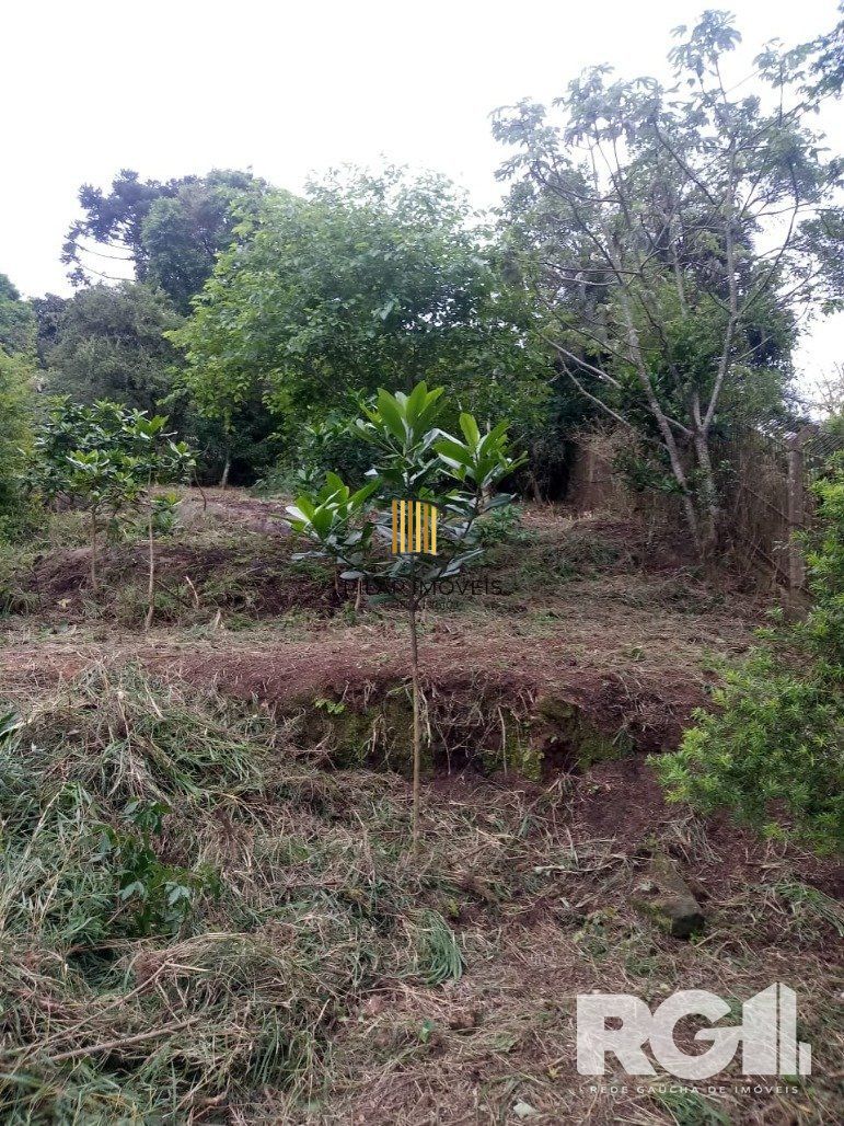 Terreno Bairro Belém Velho