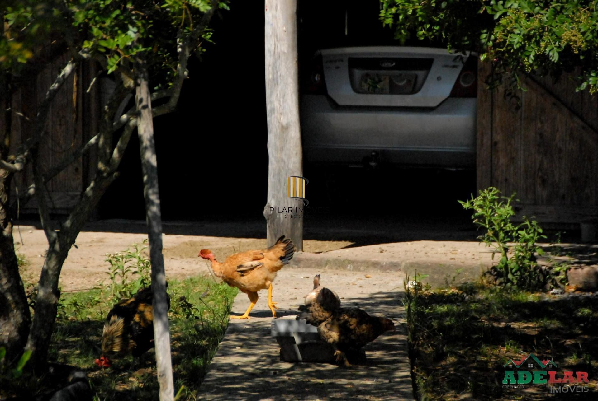 Sítio 2 dormitórios no bairro Lami
