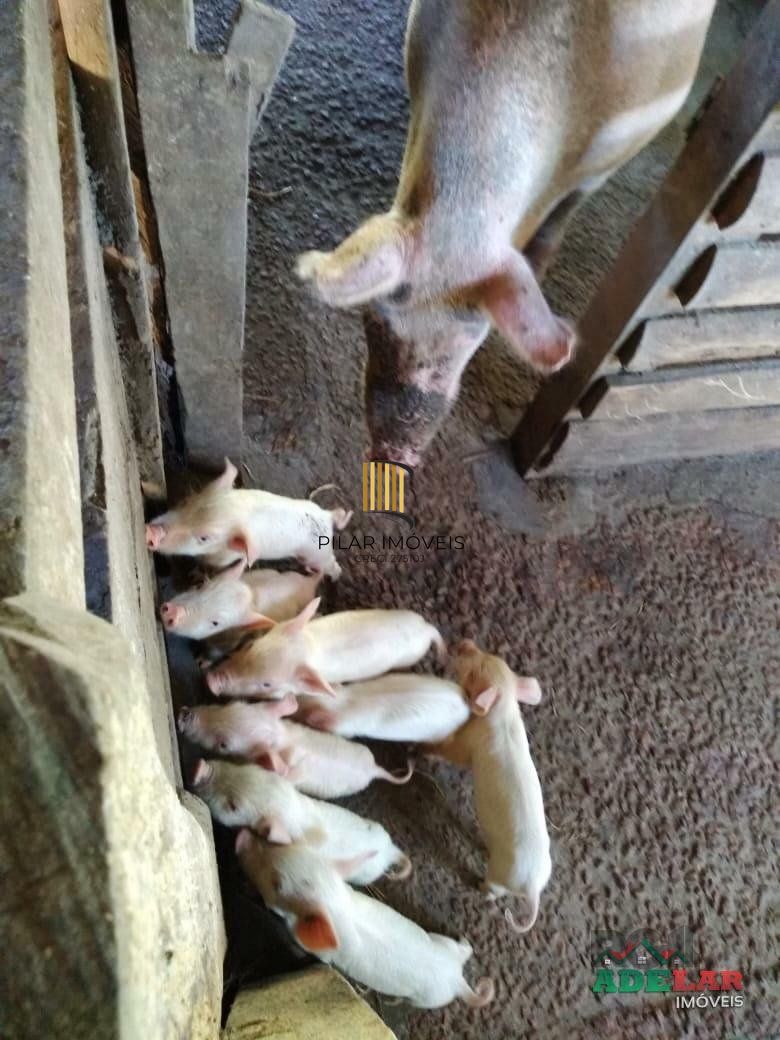 Sítio 4 dormitórios no bairro Itapuã