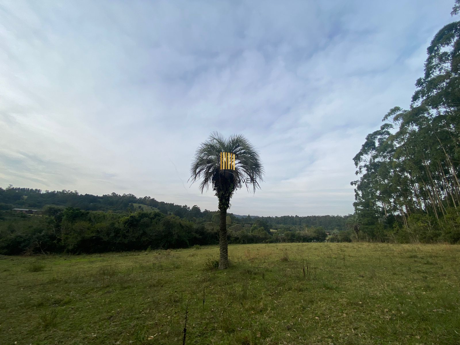 Sítio no bairro Centro
