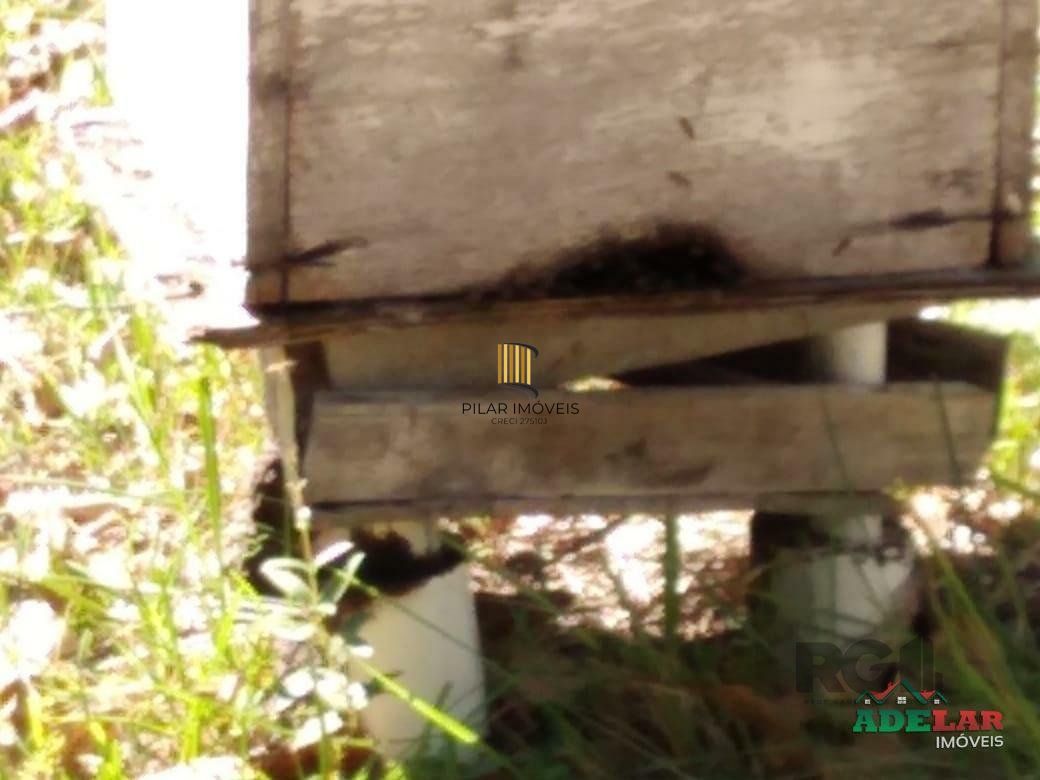 Sítio 4 dormitórios no bairro Itapuã