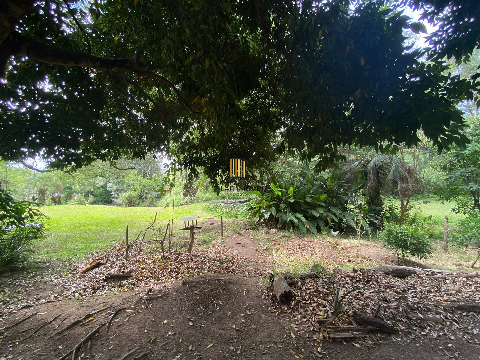 Sítio Bairro Parque Florestal (Itapuã)