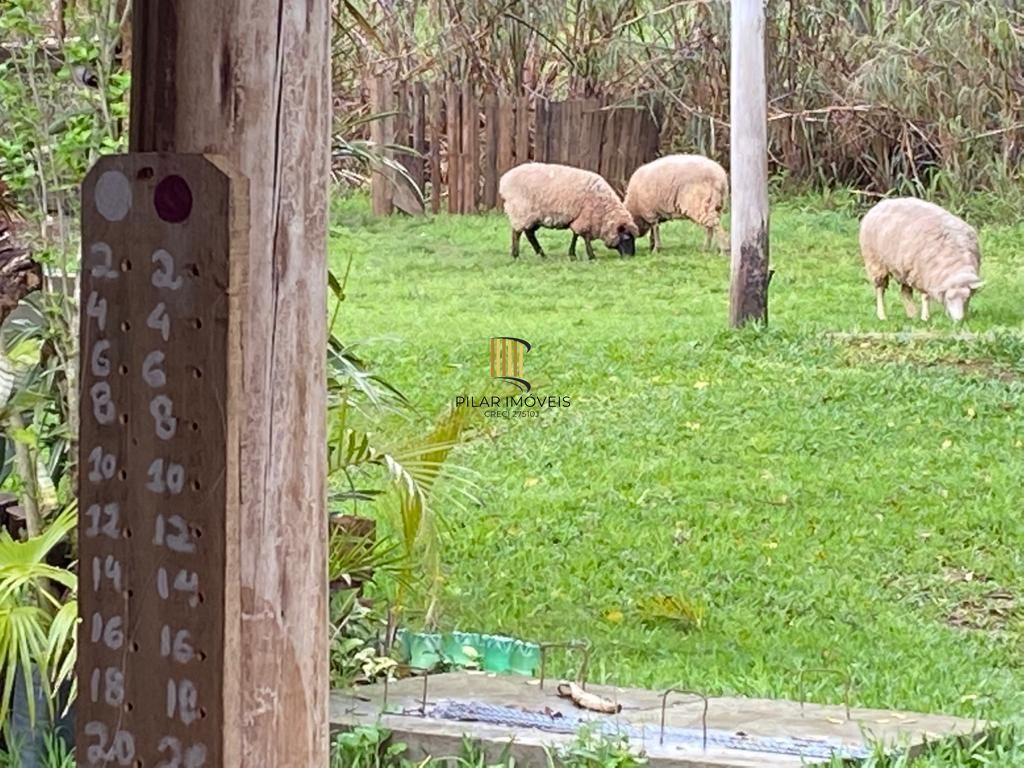 Sítio 3 dormitórios no bairro Branquinha