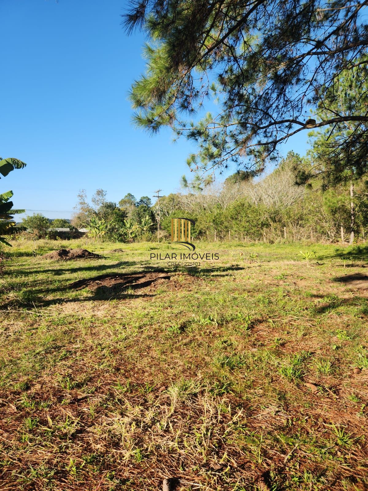 Sítio à venda no Parque São Paulo