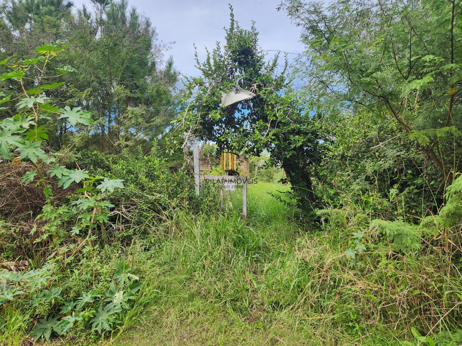 Terreno no bairro Lageado