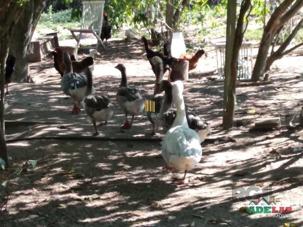 Sítio 4 dormitórios no bairro Itapuã