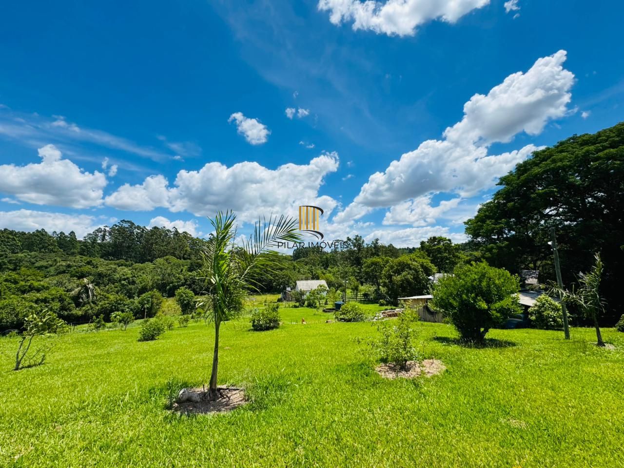 Sítio 3 dormitórios no bairro Branquinha