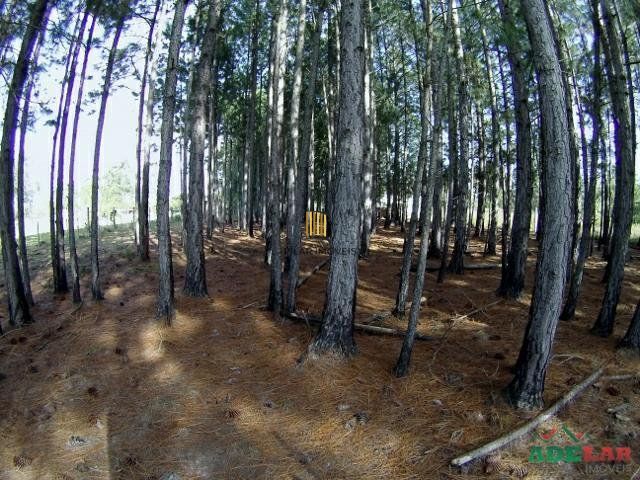 Terreno no bairro Lami