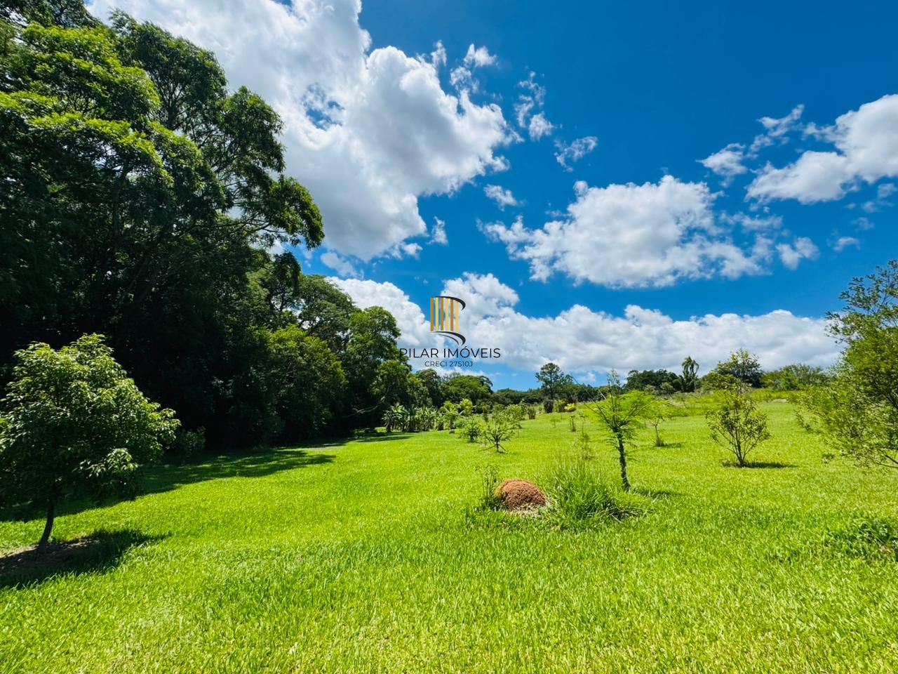 Sítio 3 dormitórios no bairro Branquinha