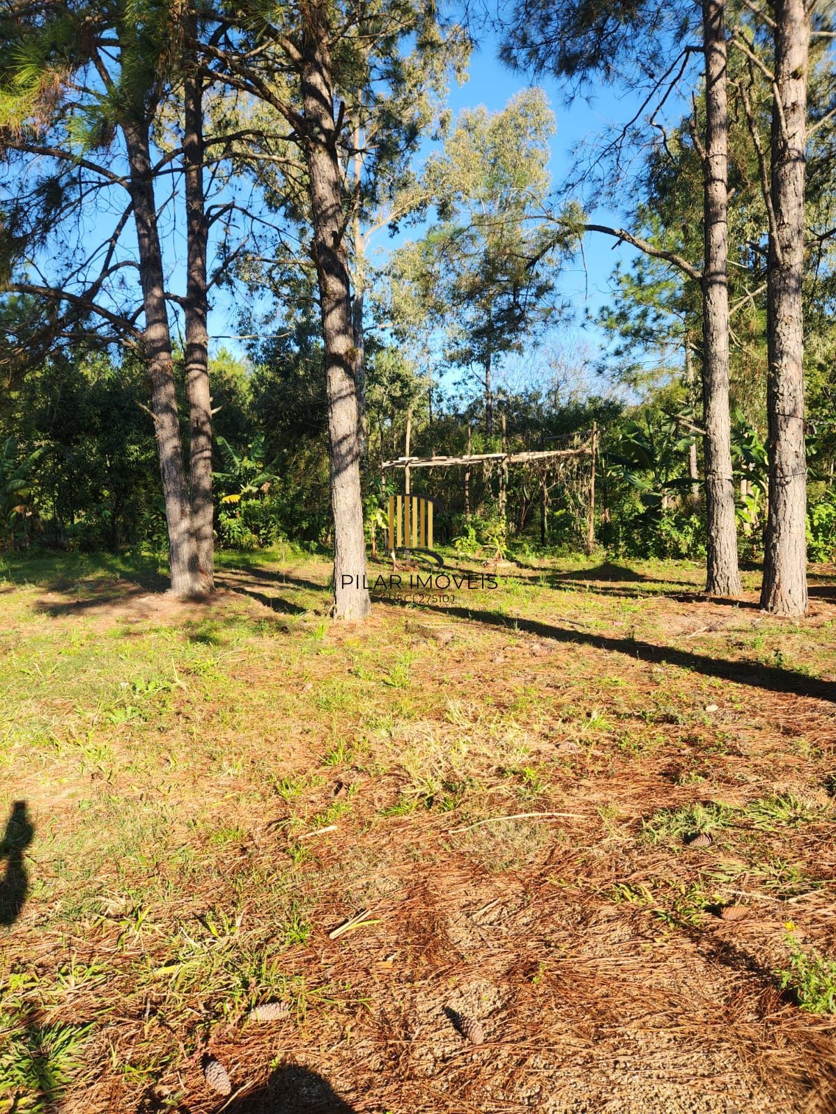 Sítio à venda no Parque São Paulo