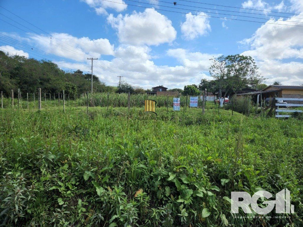 Terreno Bairro Lageado - Pilar Imóveis