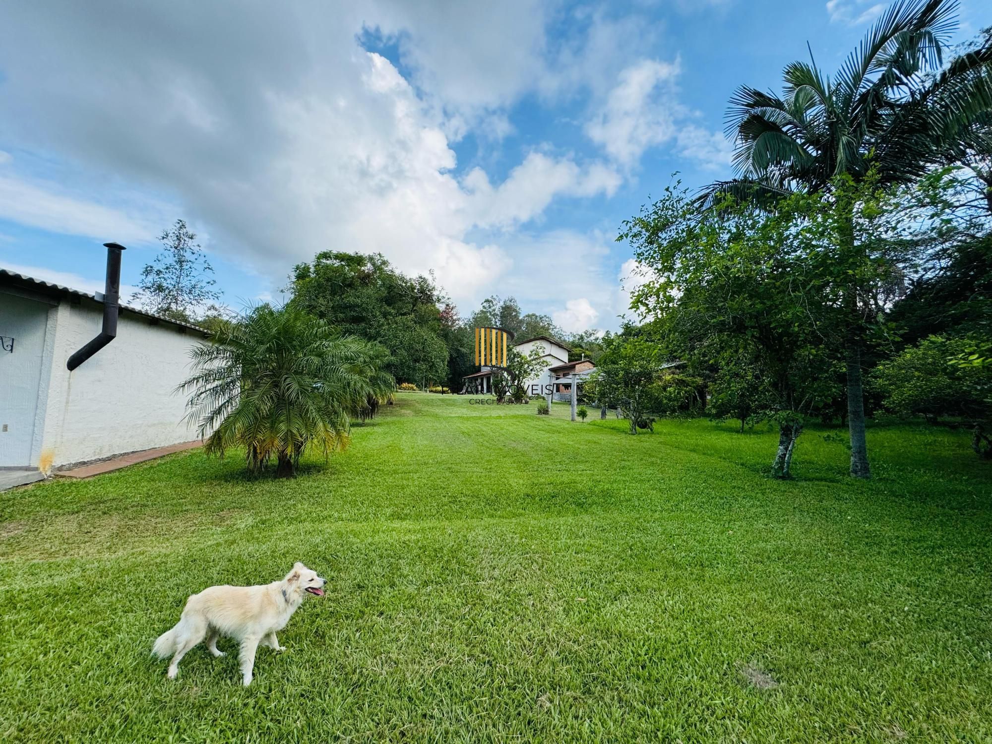 Sítio 3 dormitórios no bairro Lomba do Pinheiro
