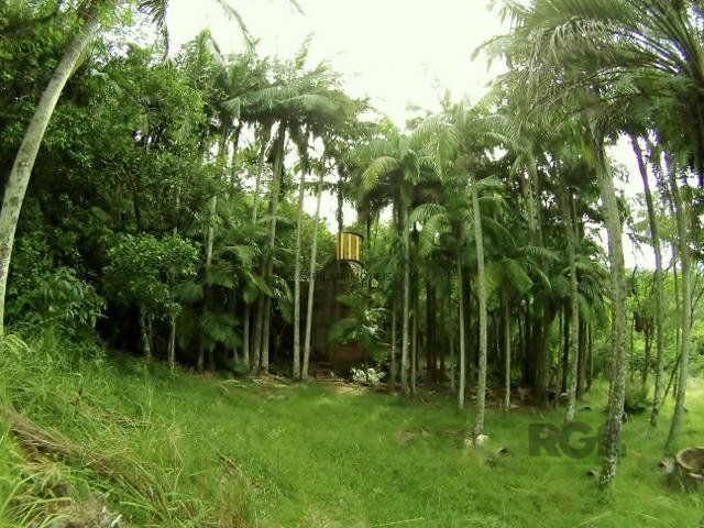 Sítio no bairro São Tomé