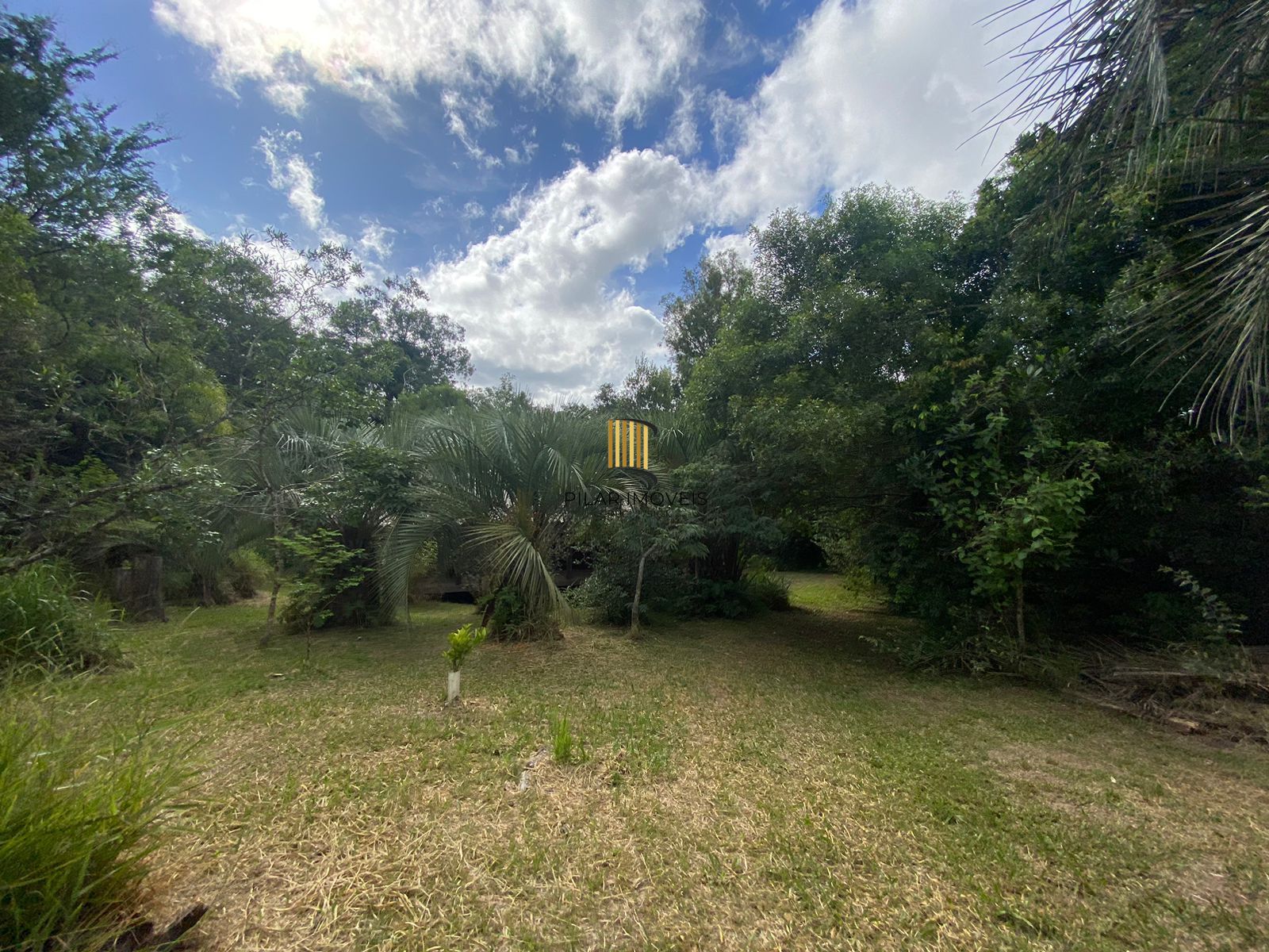 Sítio Bairro Parque Florestal (Itapuã)