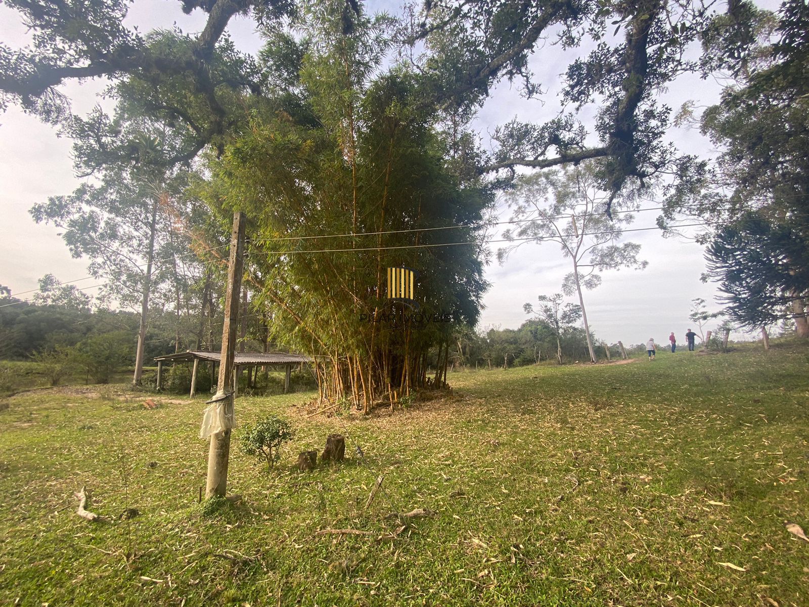 Sítio no bairro Centro