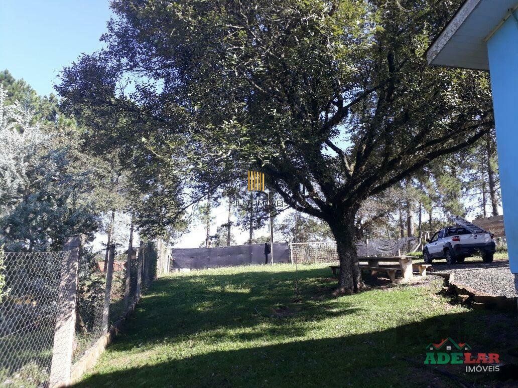 Sítio no bairro Belém Velho