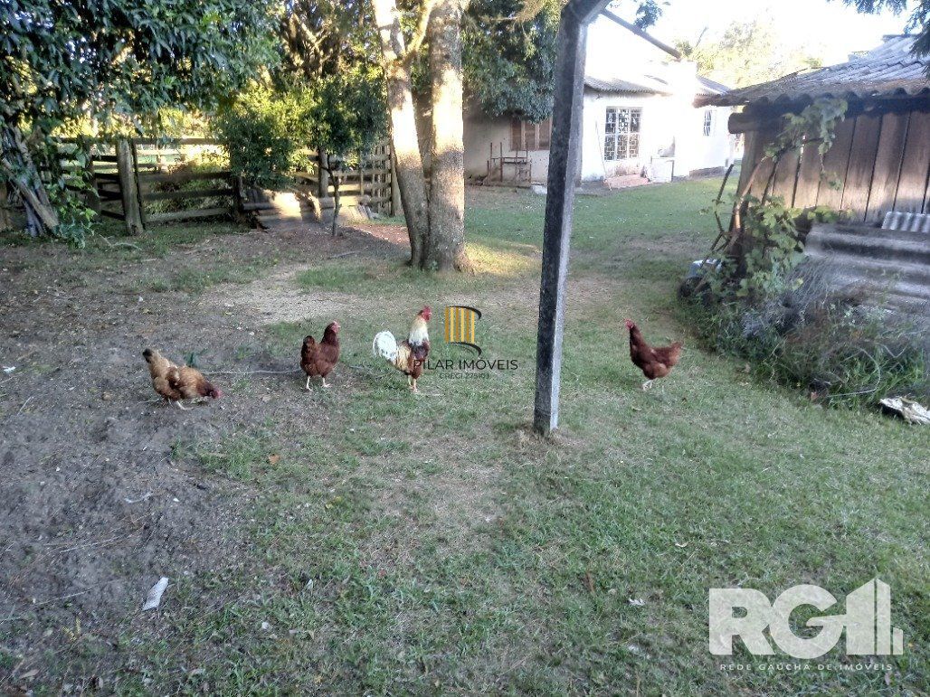 Sítio 3 dormitórios no bairro São Caetano