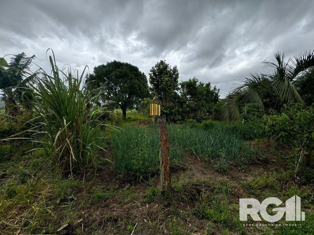 Sítio 1 dormitório no bairro Parque Florestal Itapuã