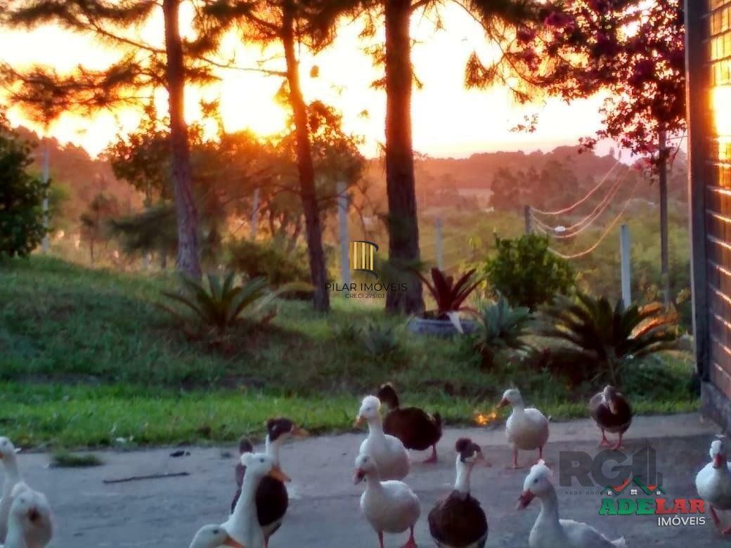 Sítio 4 dormitórios no bairro Itapuã