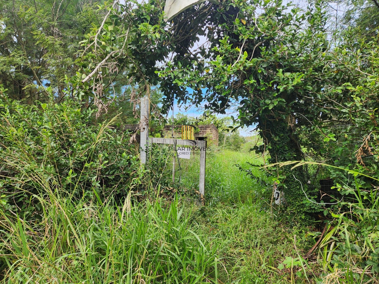 Terreno no bairro Lageado