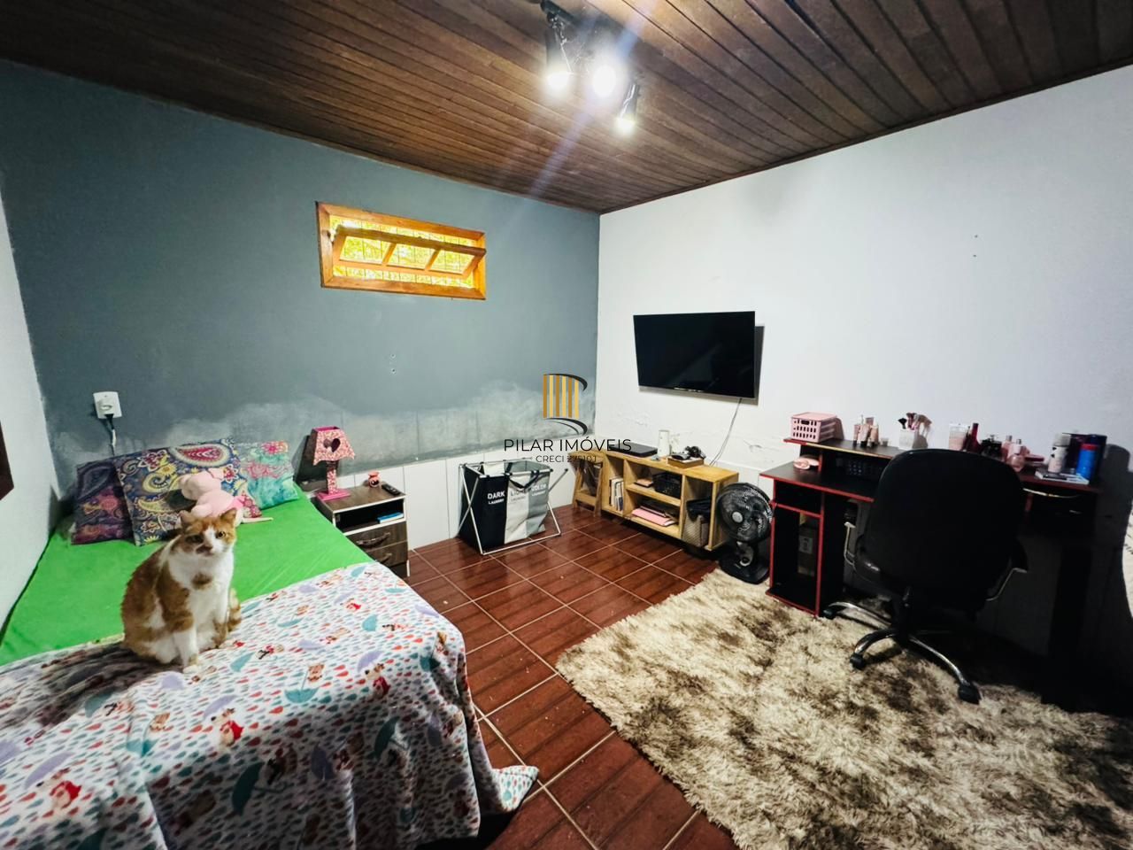 Sítio 3 dormitórios no bairro Lami