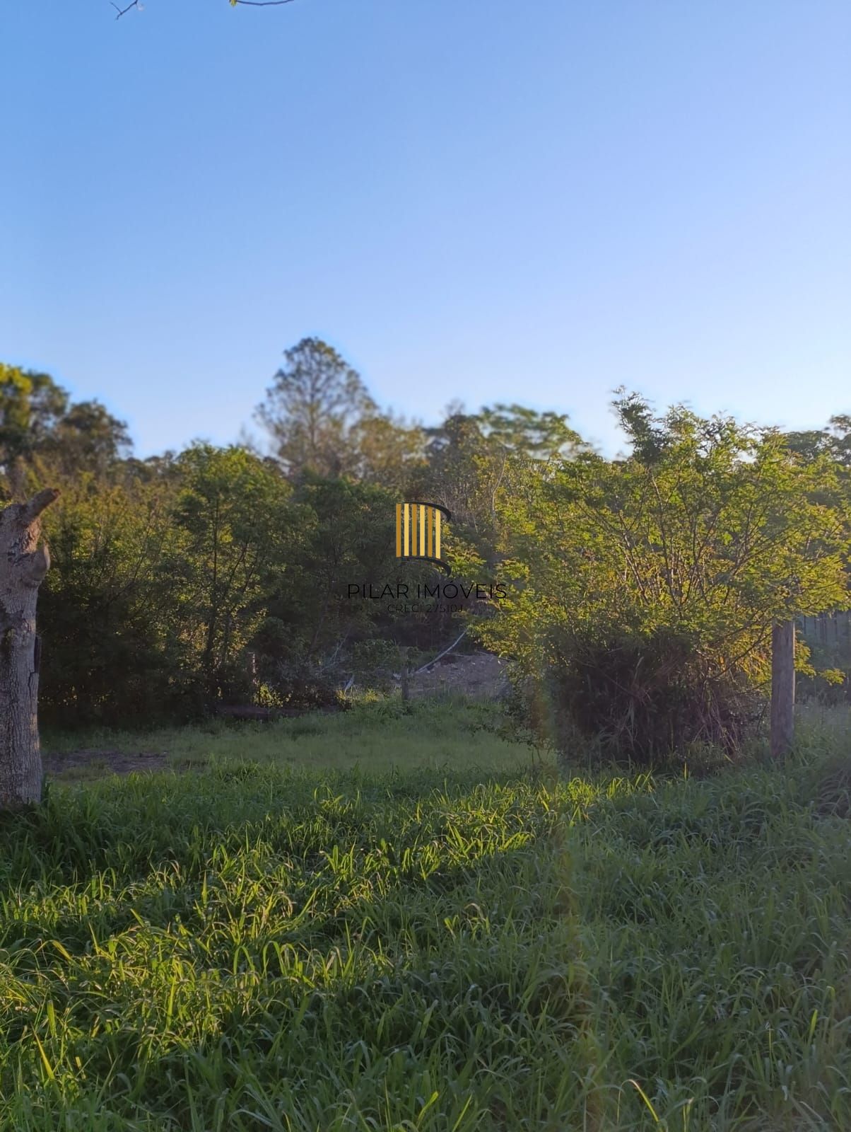 Terreno no bairro Lageado - Pilar Imóveis