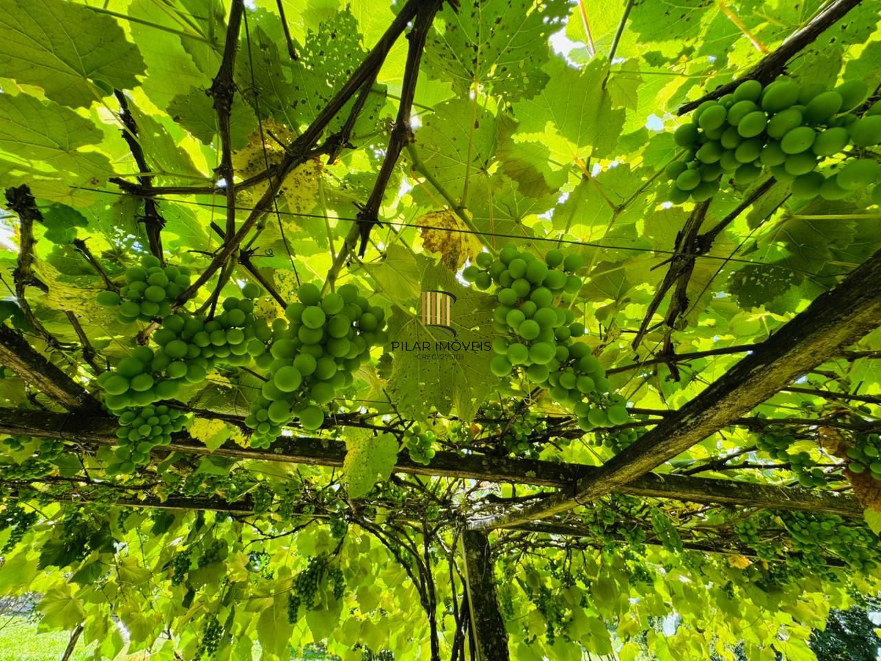 Sítio à venda na Estrada das Quirinas