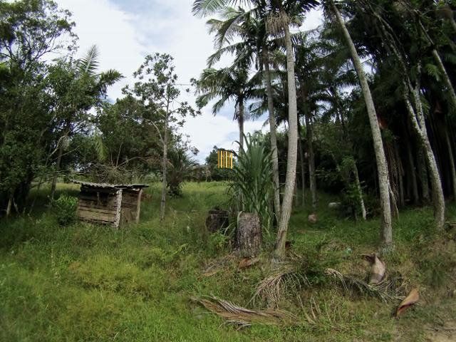 Sítio no bairro São Tomé