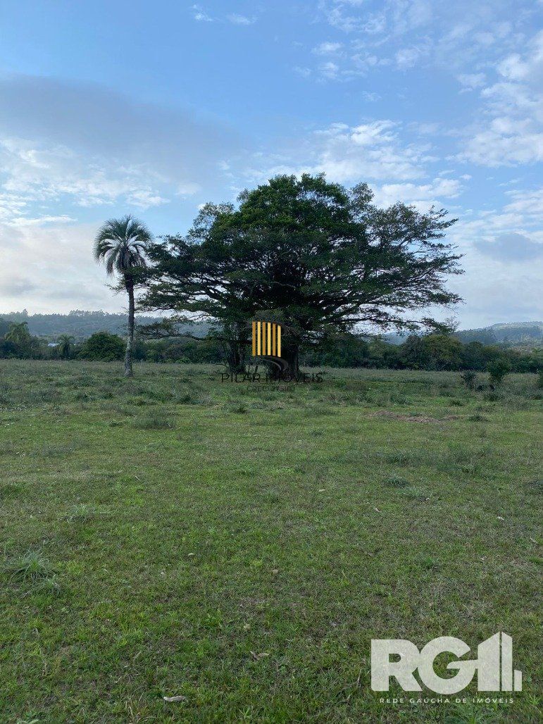 Sítio Bairro Canta Galo