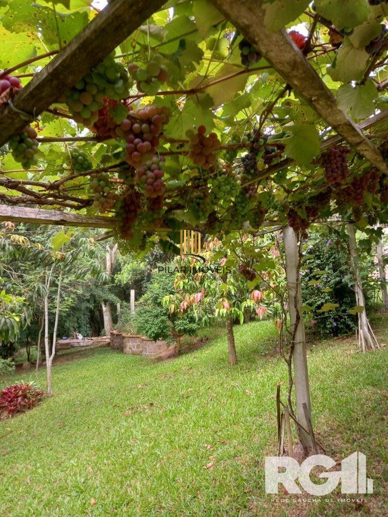 Sítio à venda na Estrada das Quirinas