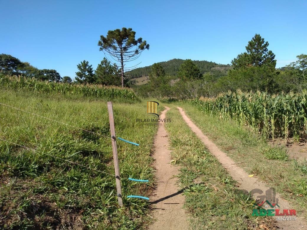 Sítio 4 dormitórios no bairro Itapuã