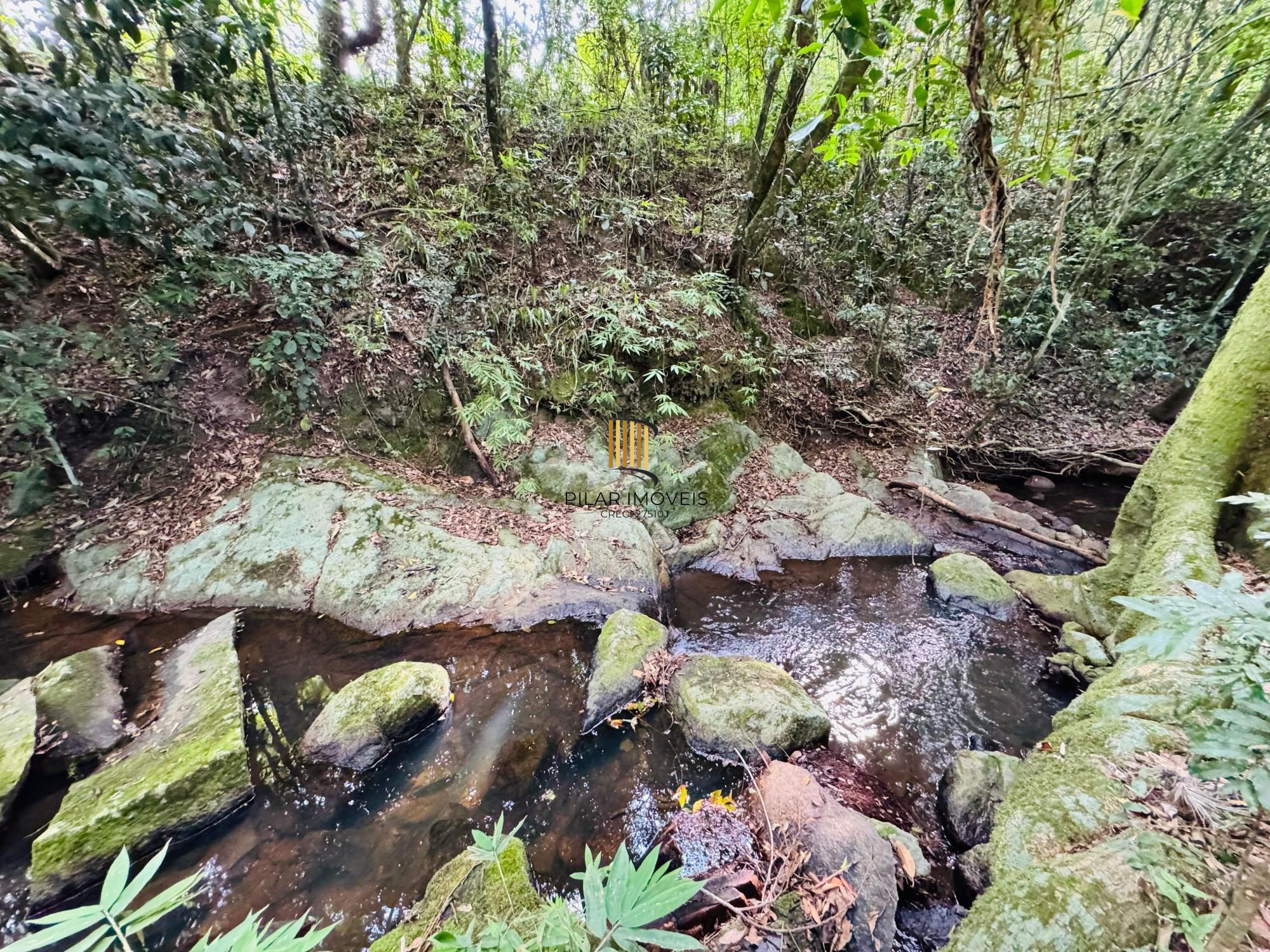 Sítio 3 dormitórios no bairro Lomba do Pinheiro