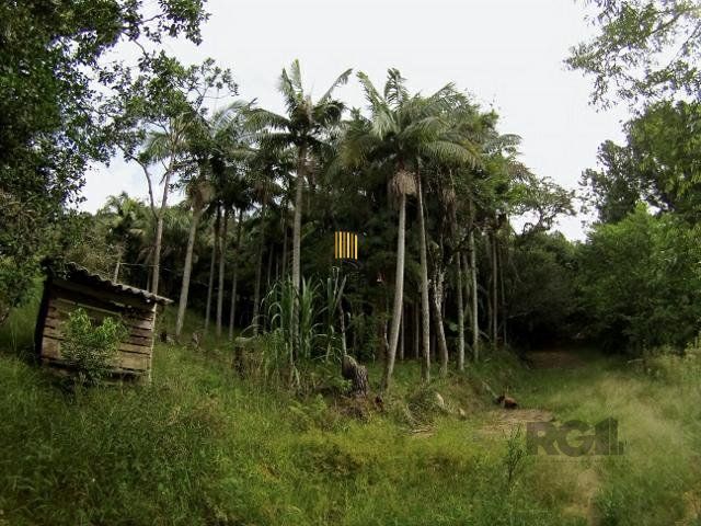 Sítio no bairro São Tomé