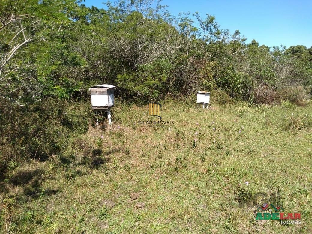 Sítio 4 dormitórios no bairro Itapuã