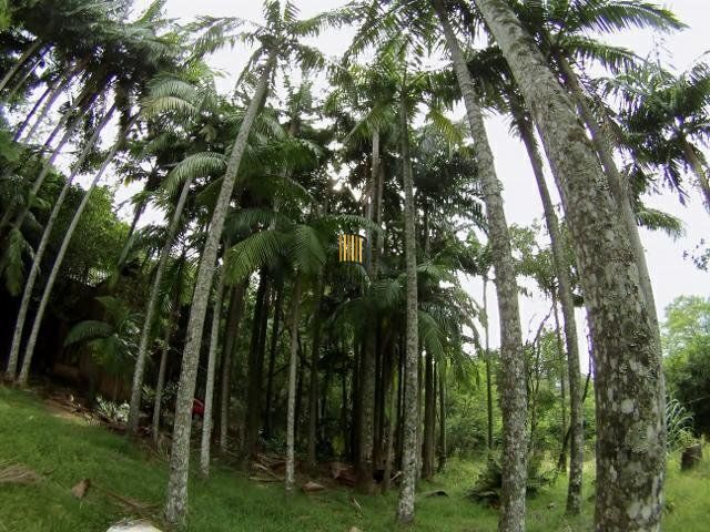 Sítio no bairro São Tomé