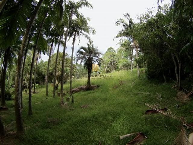 Sítio no bairro São Tomé